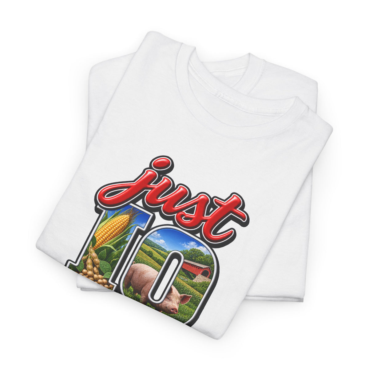 Iowa T-shirt- Hawkeye State Unisex Graphic Tee-by Poorksl.