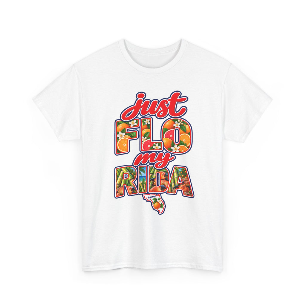 Florida T-shirt-Sunshine State Unisex Graphic Tee- by Poorksl.